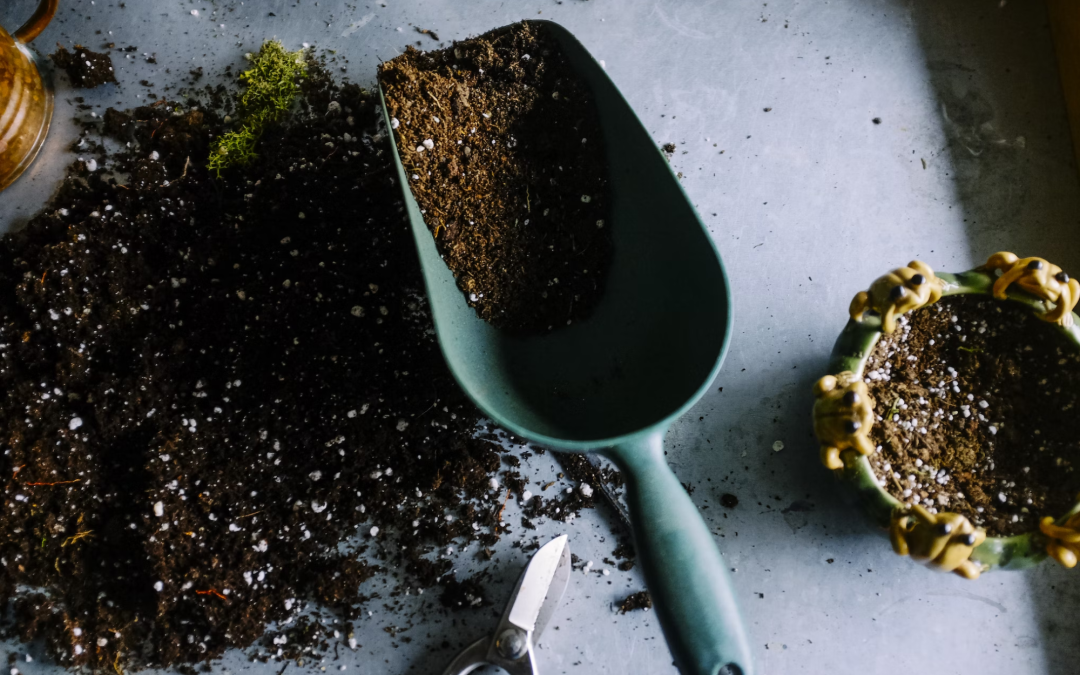 5 Essential Tools You Need for Gardening