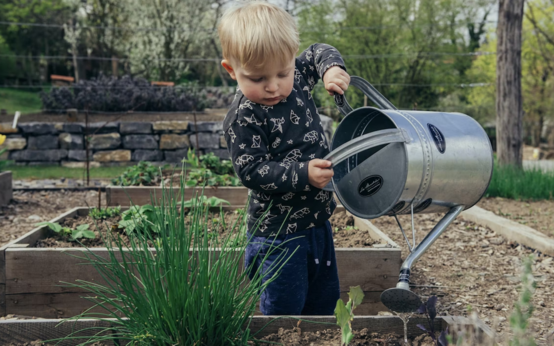 5 Tips for Gardening Beginners